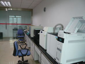 工程化技術(shù)服務(wù)的核心價(jià)值與實(shí)踐路徑